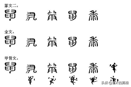 鼠 兔 馬 等十一個生肖動物漢字皆為象形字 為何 猴 字不是 星玄説