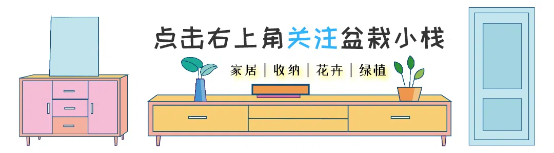 十二生肖，各有各的“幸運花”，愛花的人別養(yǎng)錯了