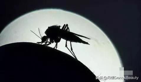 為什麼蚊子獨愛我一個？蚊子喜歡的到底是血型還是氣味？